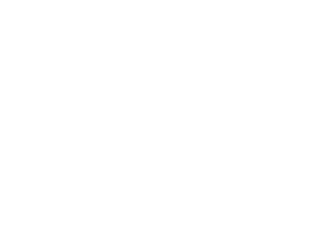 svk logo