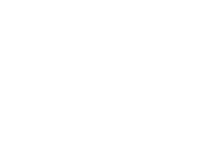 ficosota logo
