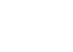 nmedov logo