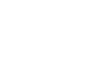 коктебель лого