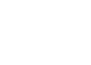 aleff corp logo