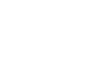 зерновіта лого