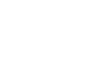 Novus logo