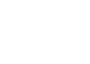 aznauri logo