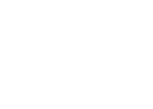 teo logo