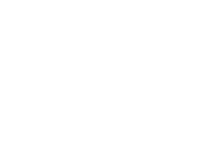 roshen logo