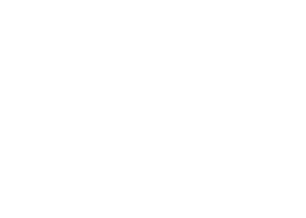 medoff logo