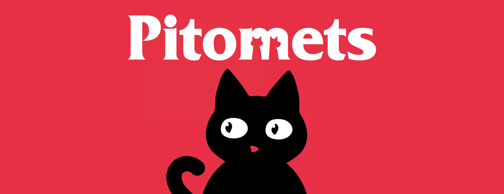 PITOMETS_second